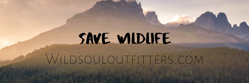 WildSoulClothes's profile banner image