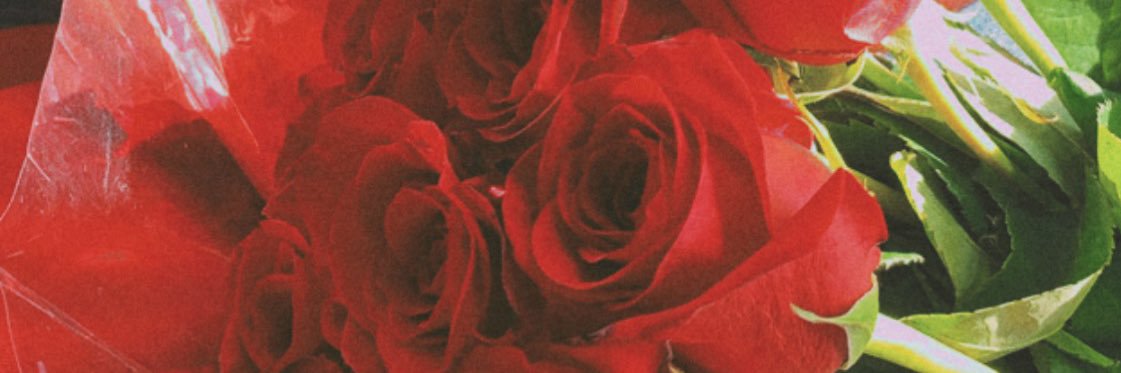 sarahpolanc0's profile banner image