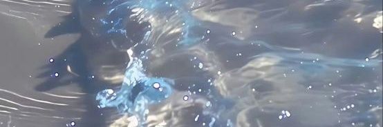 JennMSkywalker's profile banner image