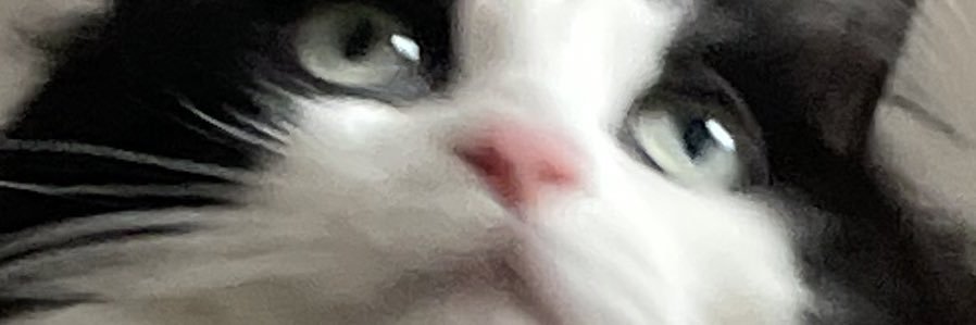 cassmaris's profile banner image