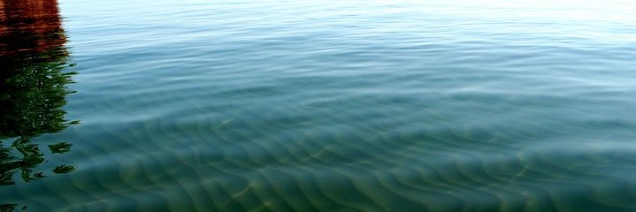 Kathleen (Fahy) Eagan banner