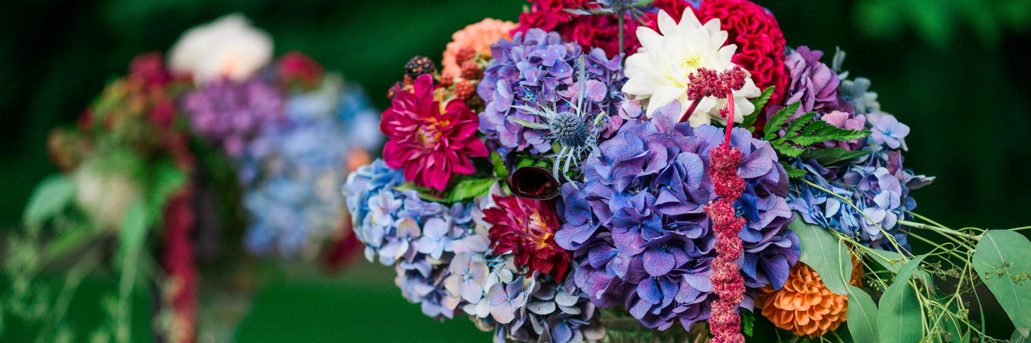 LarkspurBotanic's profile banner image