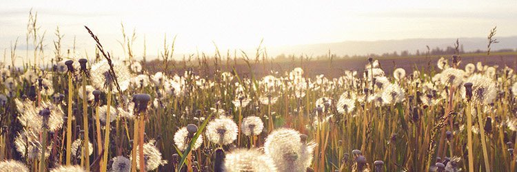 gerraaffe's profile banner image