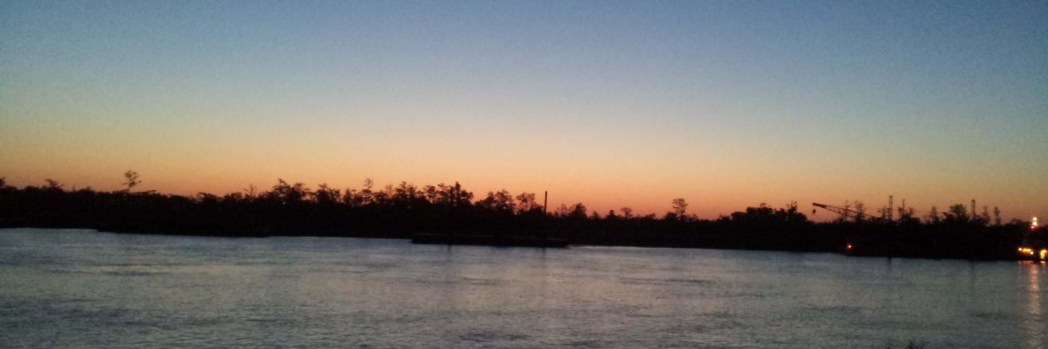 shirley_bart's profile banner image