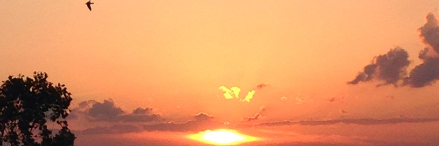 JCollmann's profile banner image