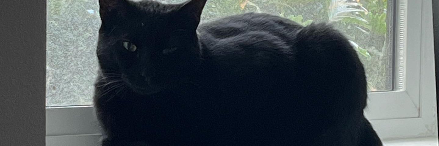 ngxcivy's profile banner image