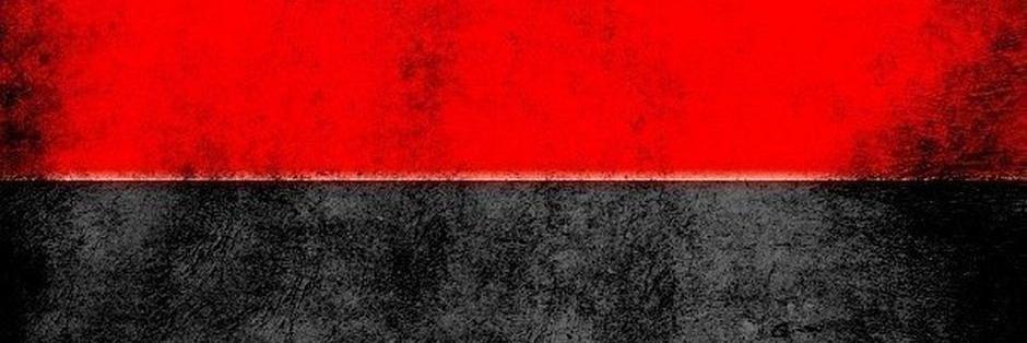 ze_punker's profile banner image