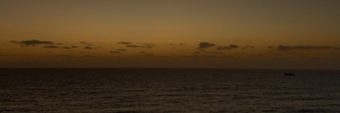 Florrurban's profile banner image