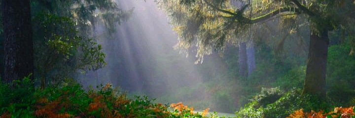 ZamoraFebres's profile banner image