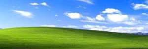 Ryan banner