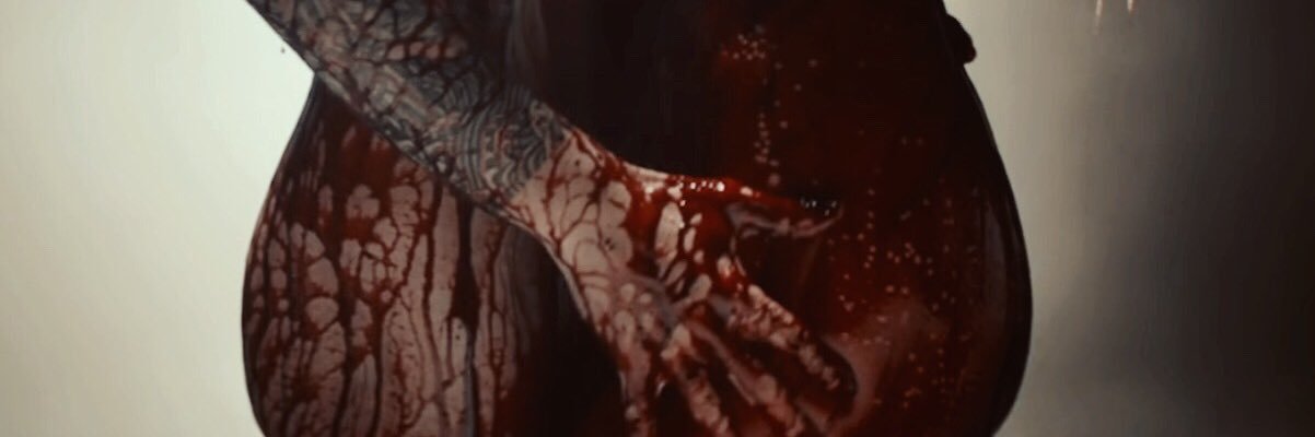 salvxdorgs's profile banner image