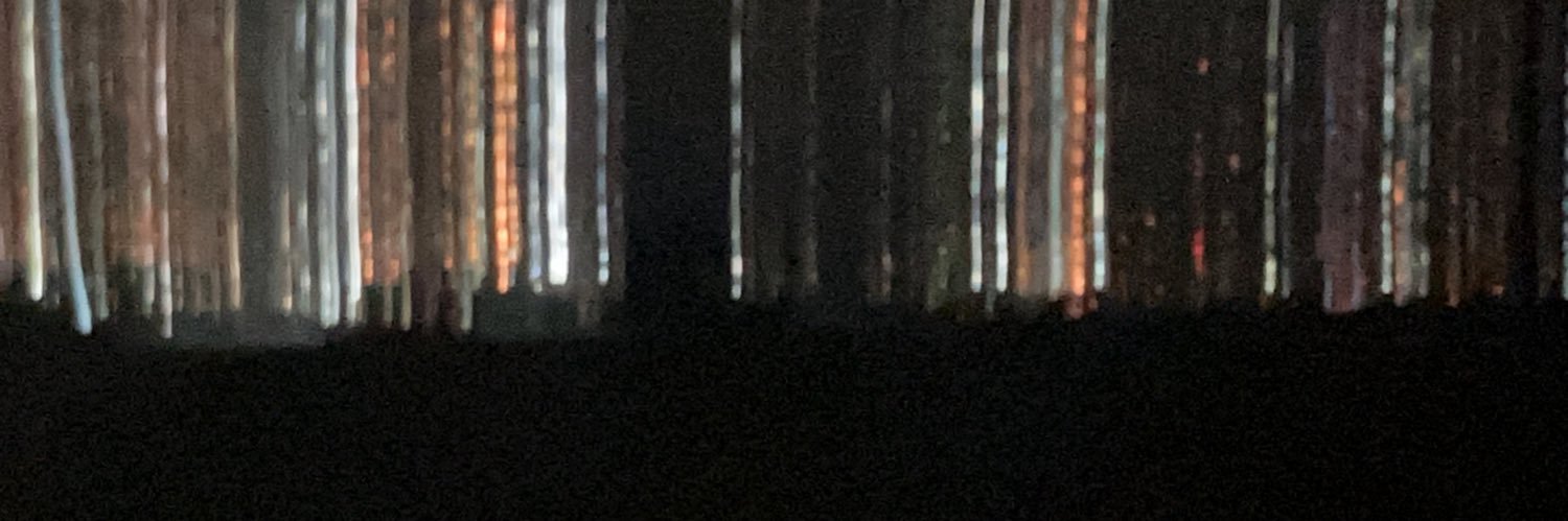 jinbee6's profile banner image