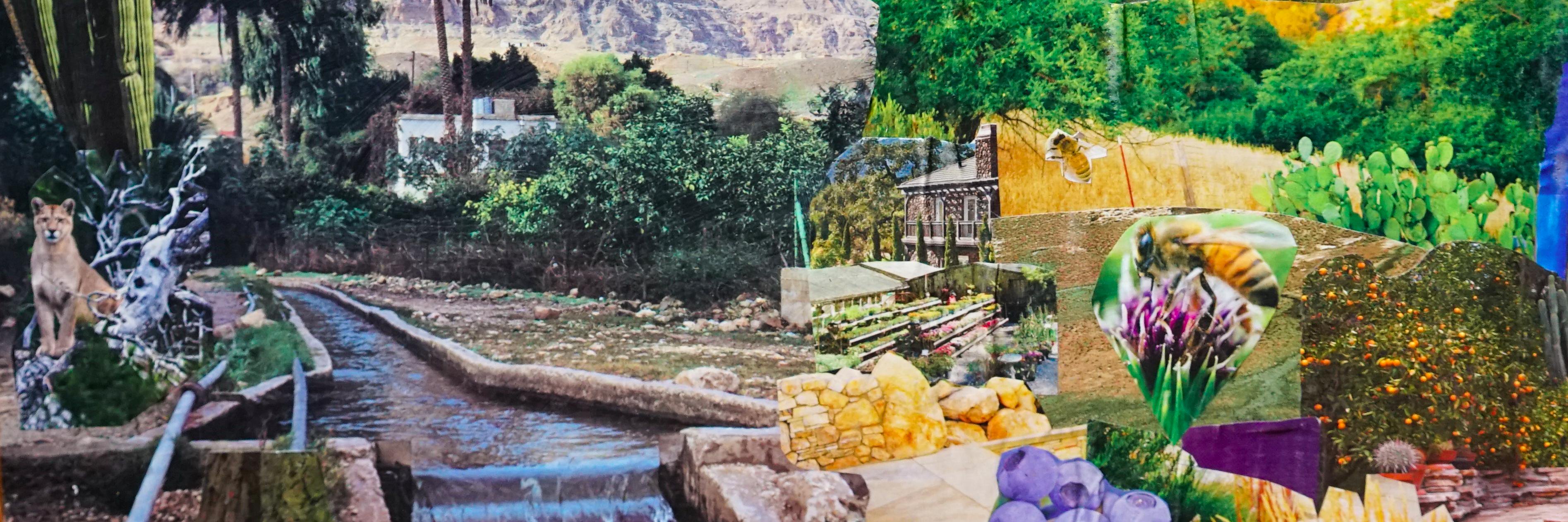 NativeSunGarden's profile banner image
