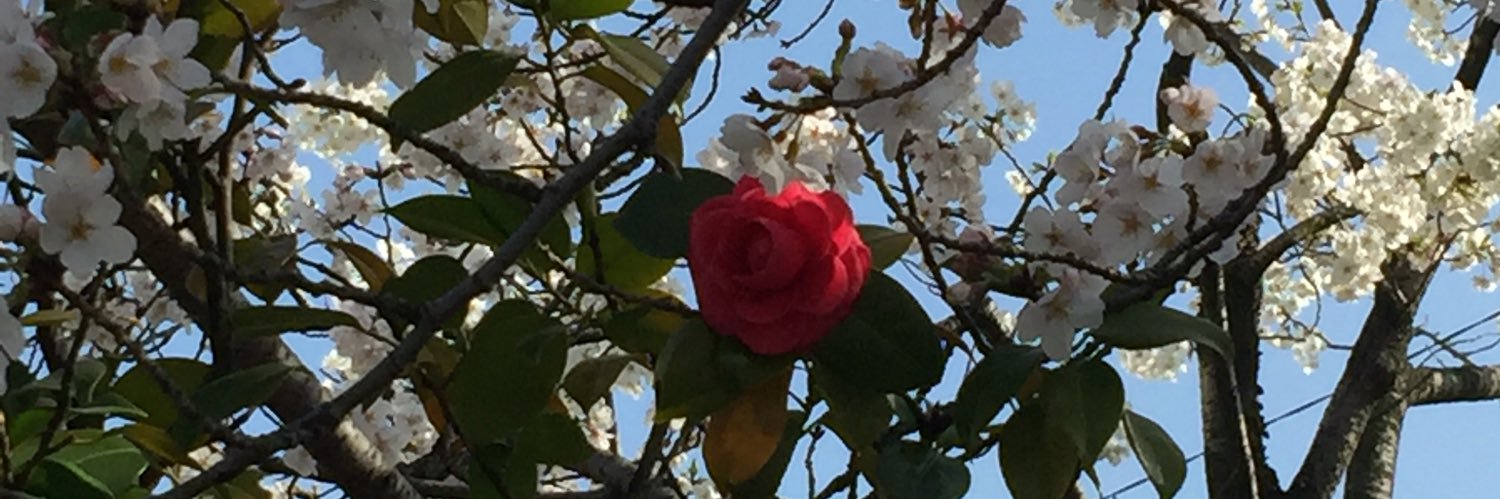 Puron4's profile banner image