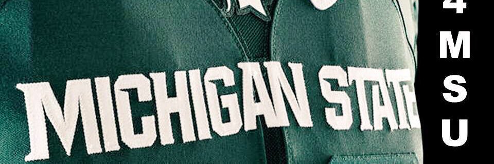 MSUDreamTeam16's profile banner image