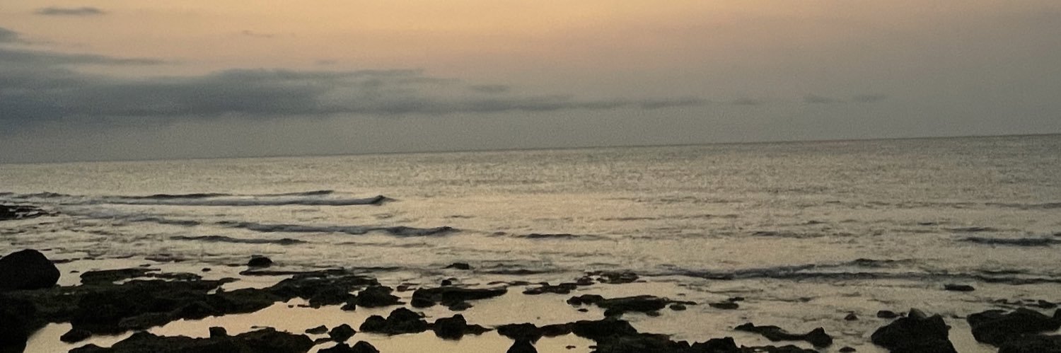 lulanbook's profile banner image