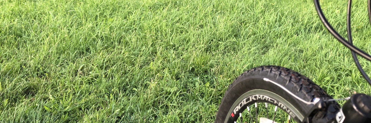 Denis Kobyhshev banner