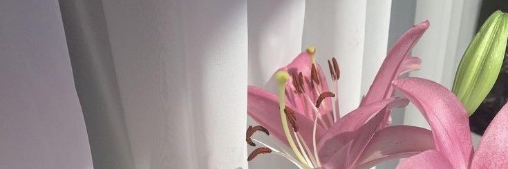 karenjimenezr's profile banner image