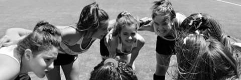celeste_meloni's profile banner image