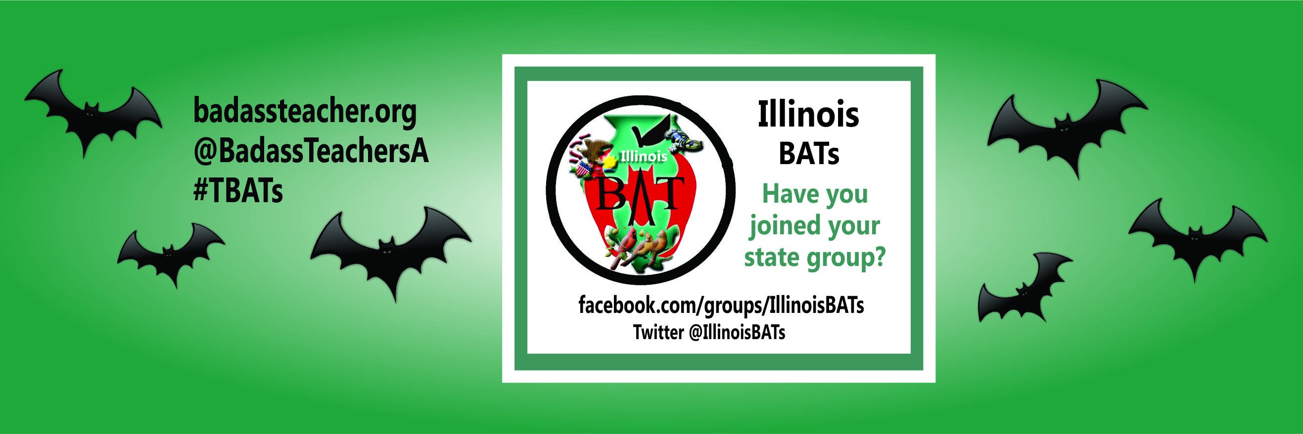 IllinoisBATs's profile banner image