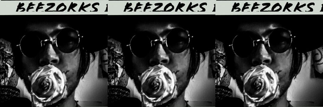 beezorks's profile banner image