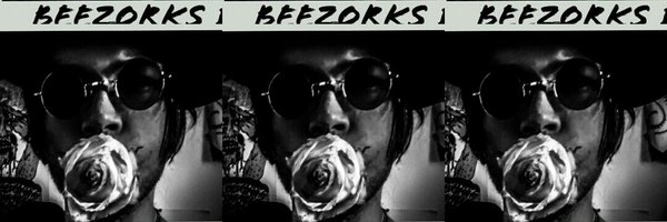 beezorks Profile Banner