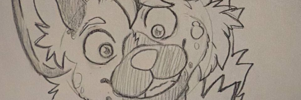 wiledogg's profile banner image