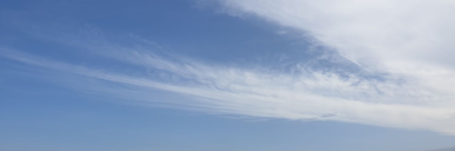vikkichacha's profile banner image