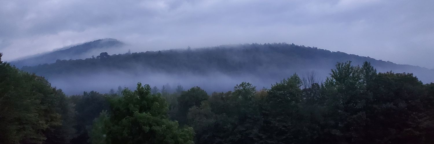 Sarah Strohmeyer ... has left the building. banner