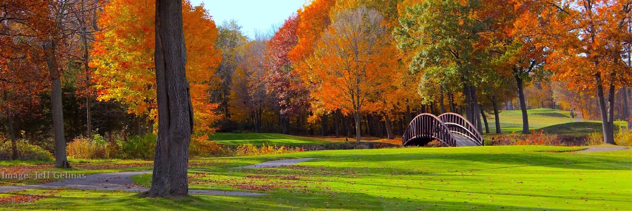 GolfSceal's profile banner image