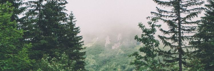 Mendes_R5's profile banner image