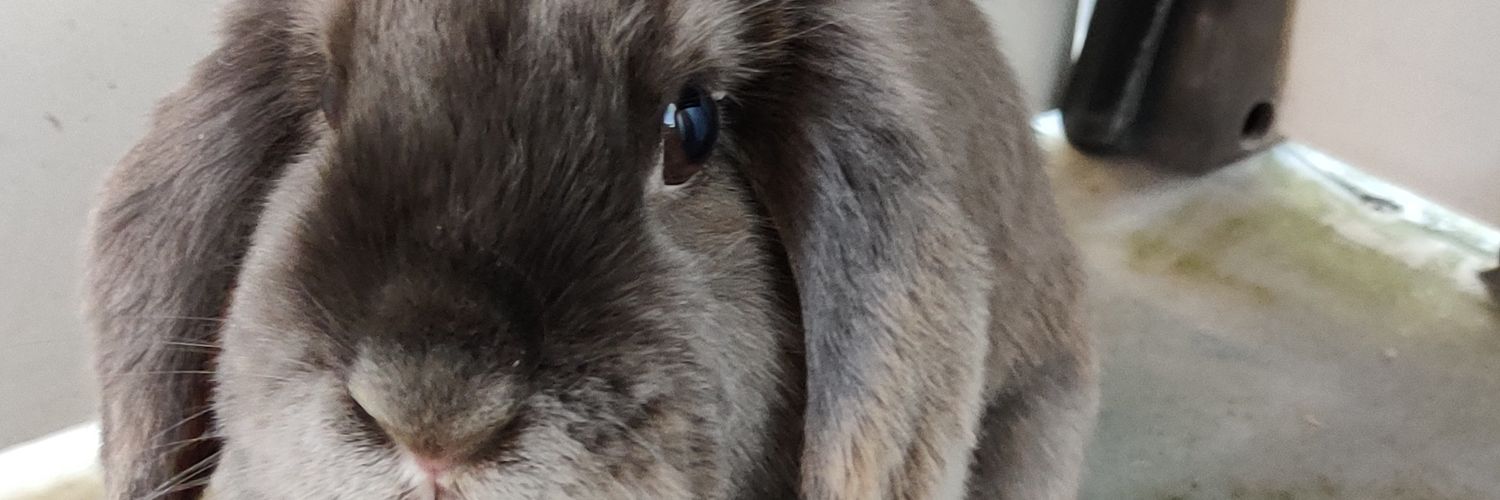 ChristinaJW's profile banner image