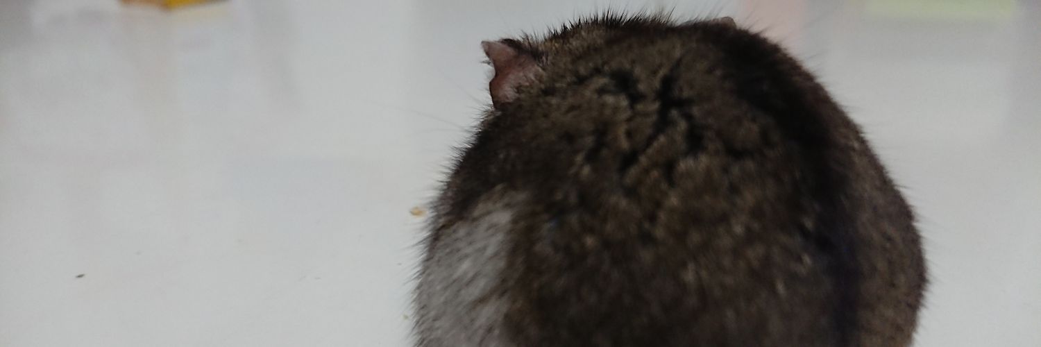 ottsunn_01's profile banner image