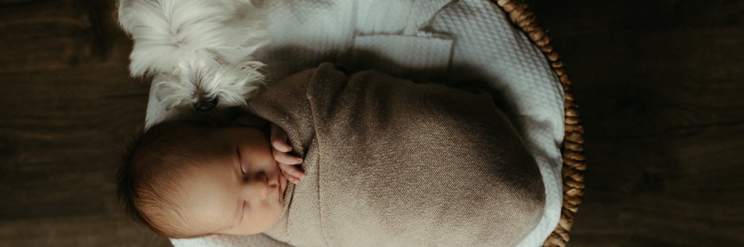 Kayla Courvell banner