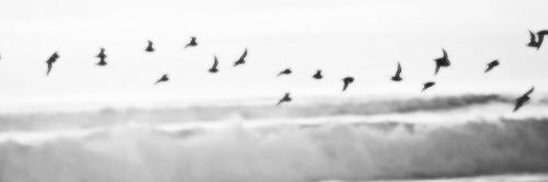 swift_andsound's profile banner image