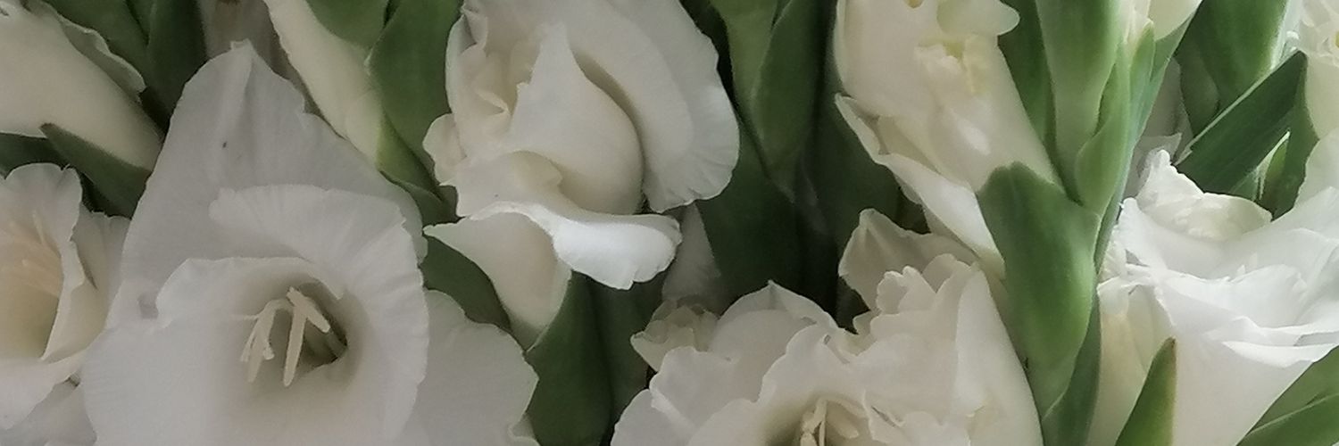 rebemrb's profile banner image