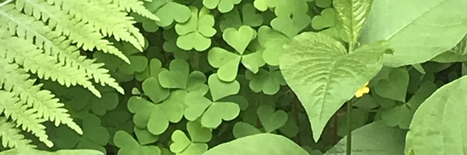 saravvvtemp's profile banner image