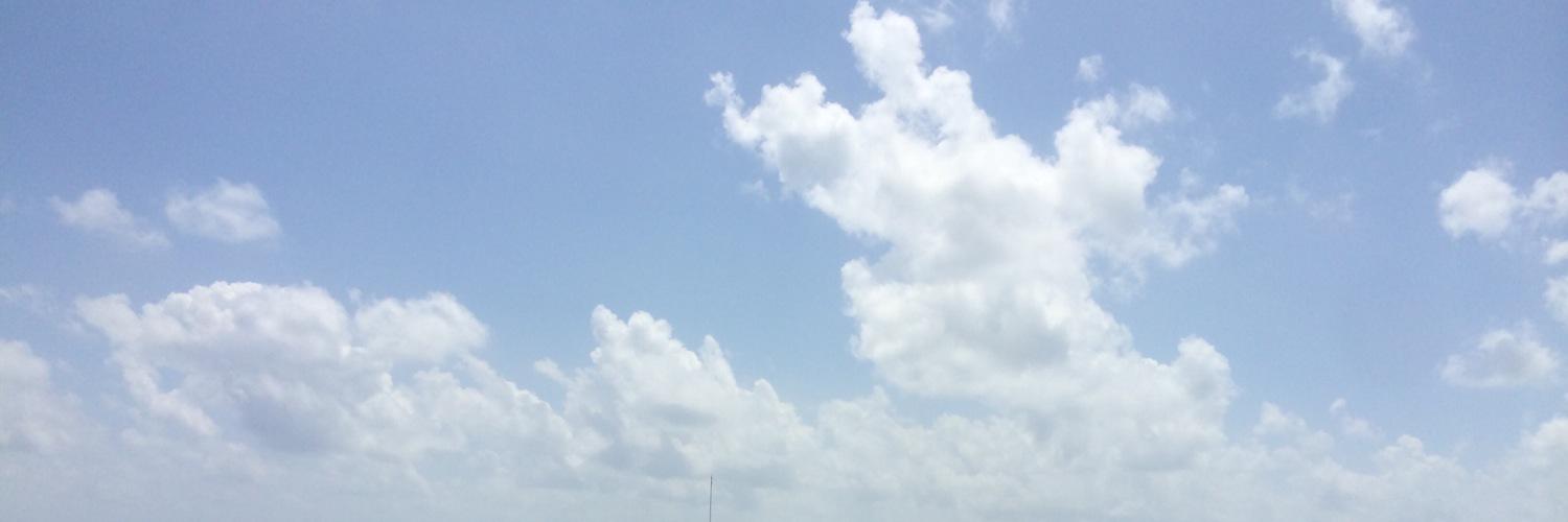 Darrell Chipp banner