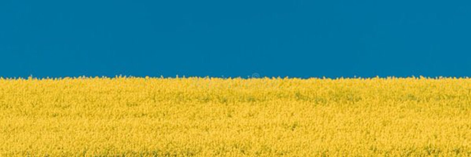 selfie6b's profile banner image