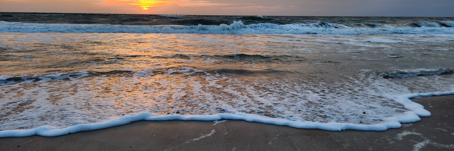 KellyRMinter's profile banner image