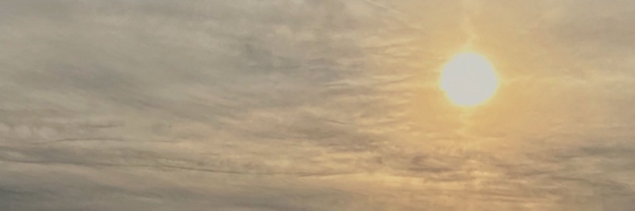 morganrook_'s profile banner image