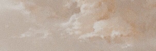 terramleonard's profile banner image