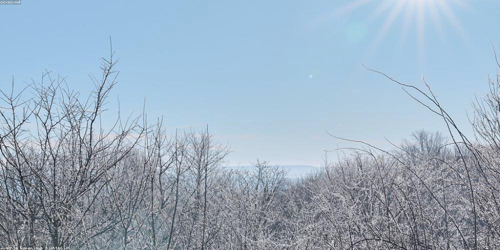 ceo_of_space892's profile banner image