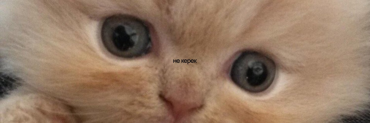 OhStarostina's profile banner image