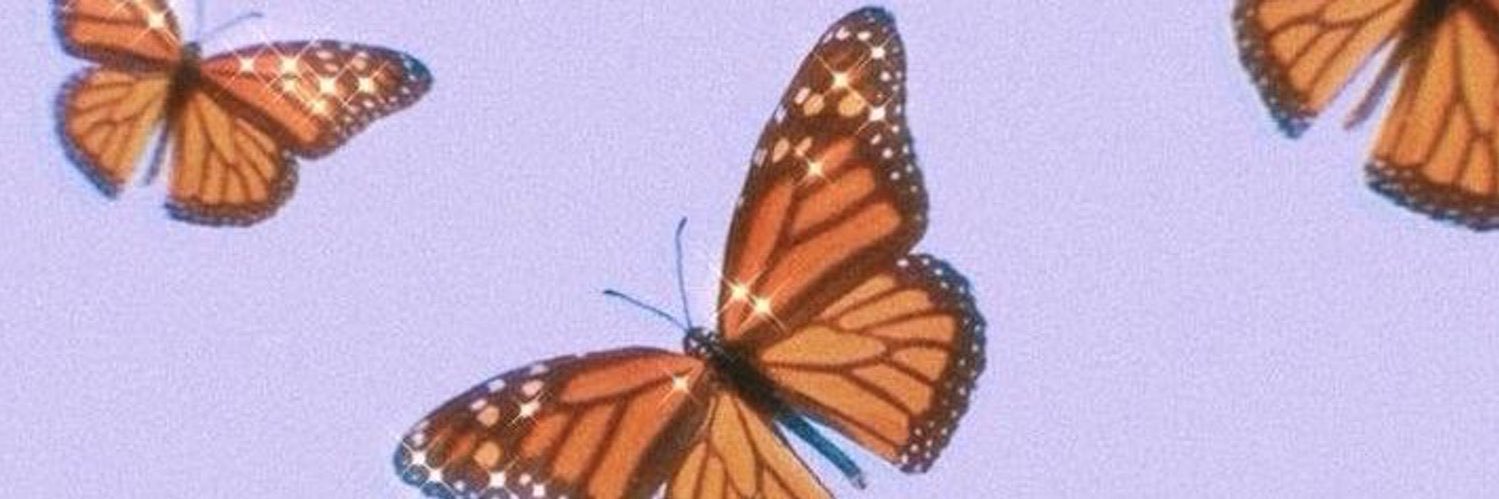 ambertidyman7's profile banner image
