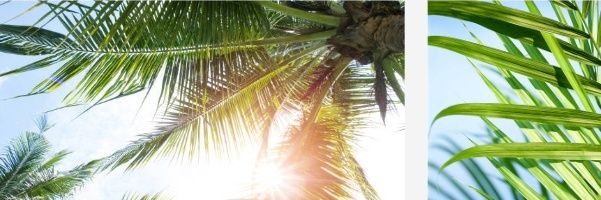 hille422's profile banner image
