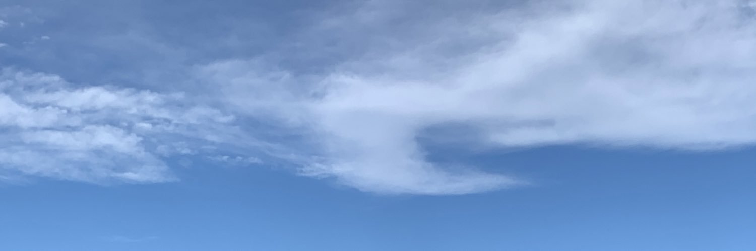 S @ ツイフィ必読 banner