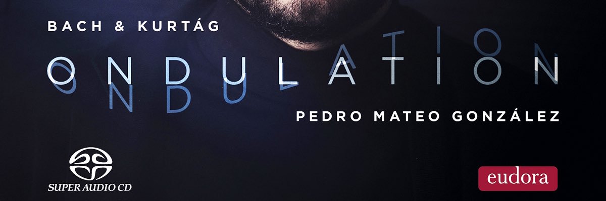 pedromateogg's profile banner image