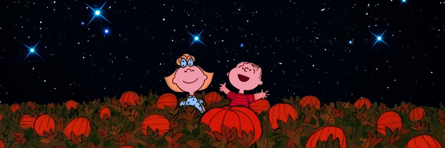 LoonyPumpkin's profile banner image