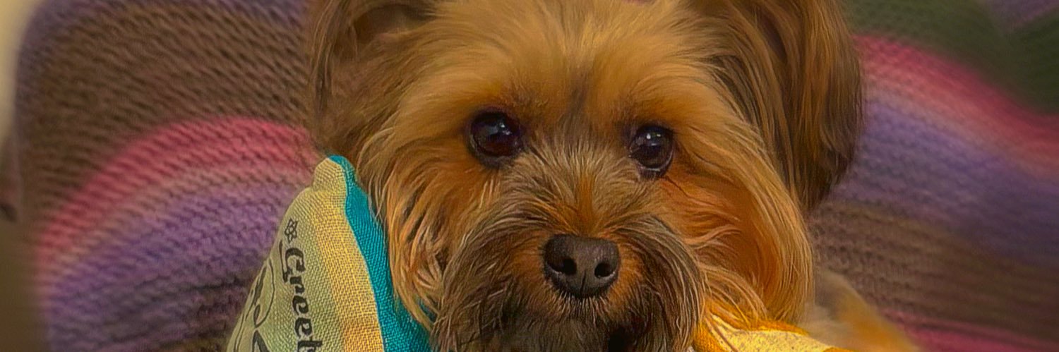 Debra Jackson AO RN PhD FCNA FRCN banner